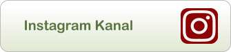 Instagram Kanal